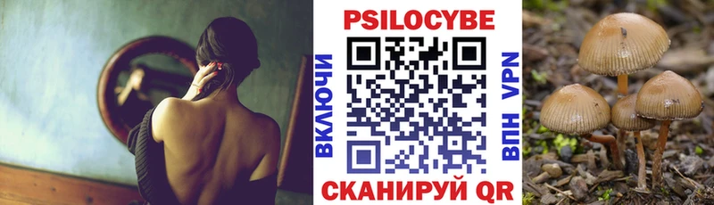 Псилоцибиновые грибы Psilocybe  гидра зеркало  Мышкин 